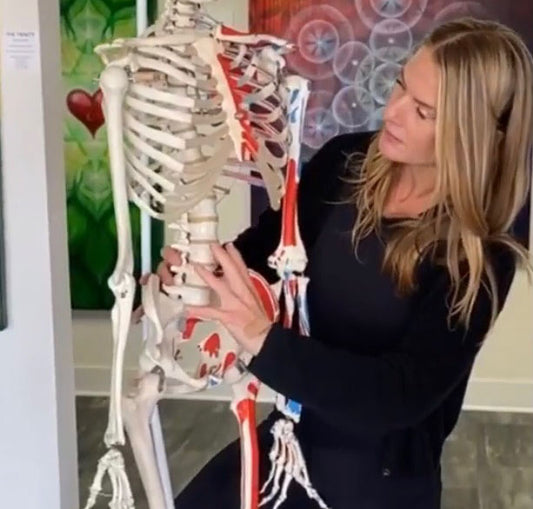 Experiential Anatomy with Kim Fitzgerald. 10am-4pm