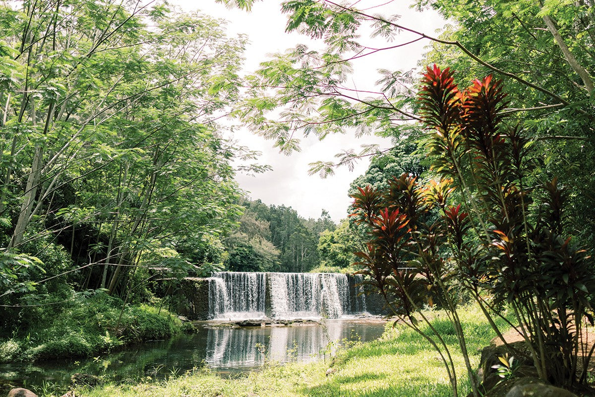 Restore & Realign in Kauai A Women’s Yamuna Body Rolling & Adventure Retreat - BodyBalancebyKim 